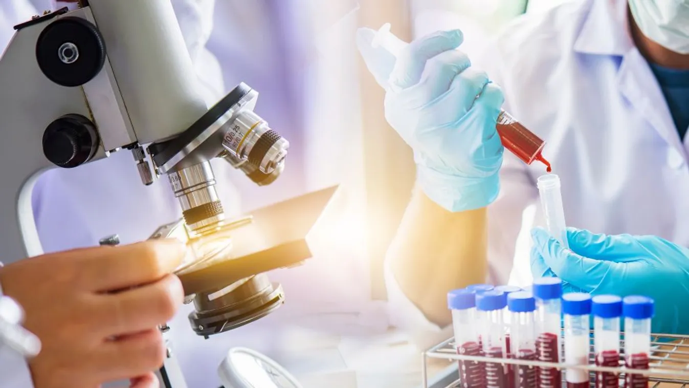 Covid gyógyszer a láthatáron