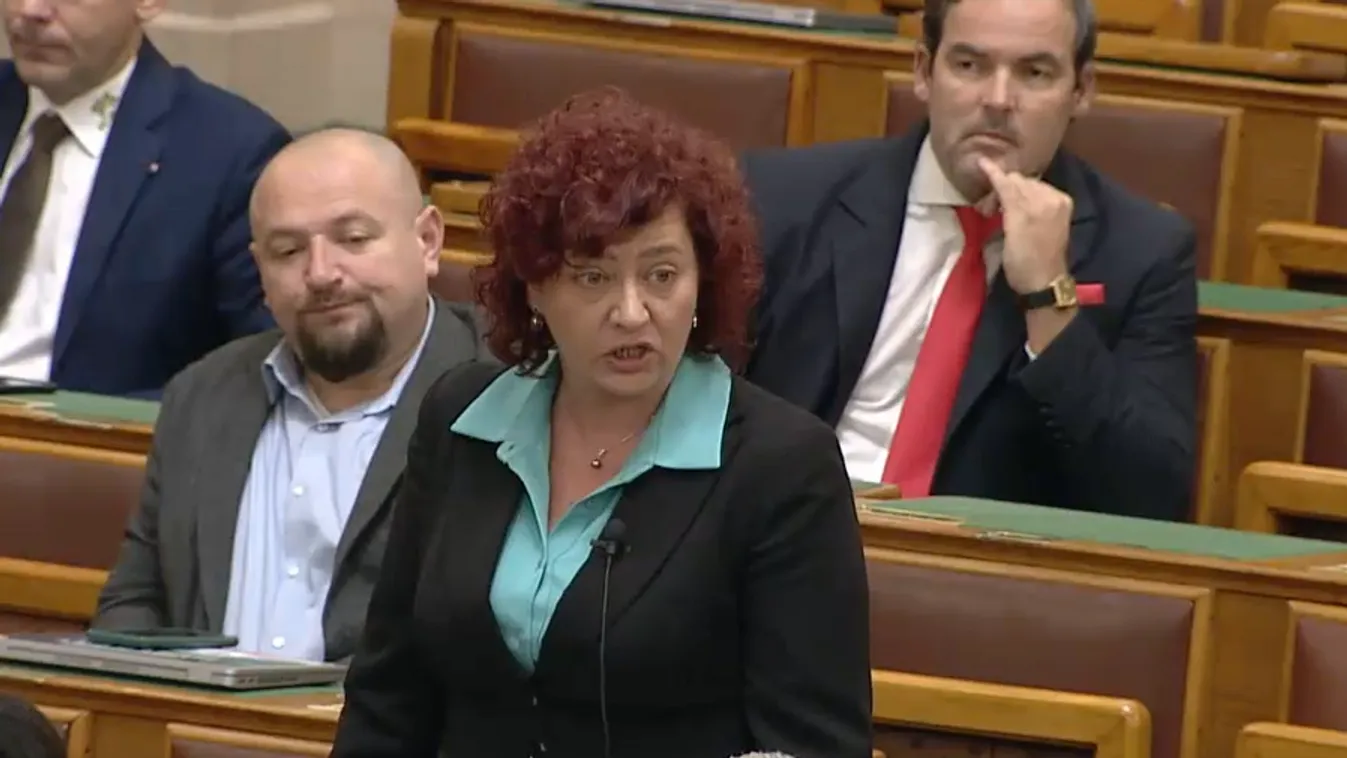 Parlamenti csörte a nemzeti konzultációról és az árnyékkormányról + videó