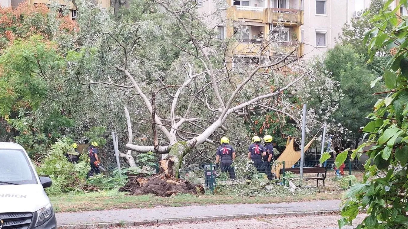 Majdnem tragédia történt Óbudán