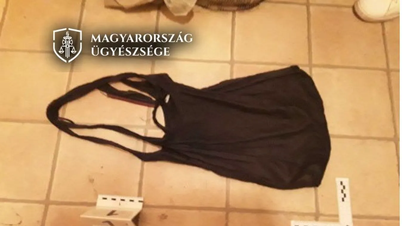 Rablással, lopással, csalással és nagymamája kifosztásával is gyanúsítják a felnőtt korú unokát