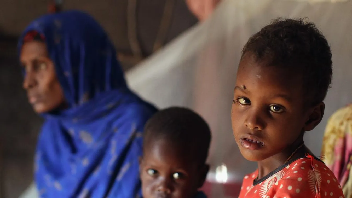 WFP: több mint 700 millió ember nem tudja, hogy mikor eszik legközelebb