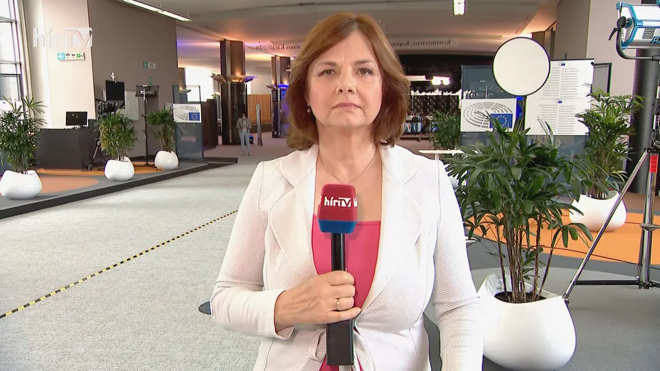 A pedofiltörvény uniós visszhangja