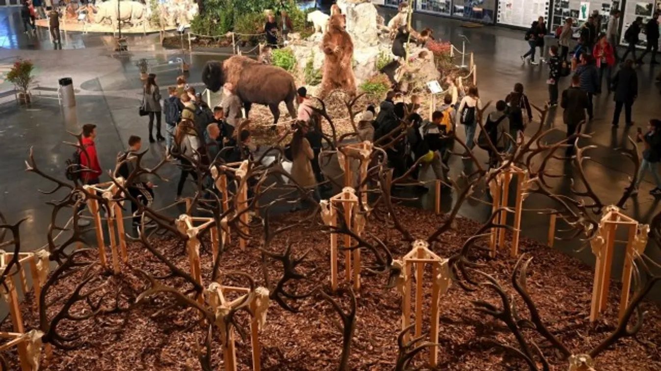 Vadászati Világkiállítás: Már több mint 780 ezren látogattak ki a rendezvénysorozatra