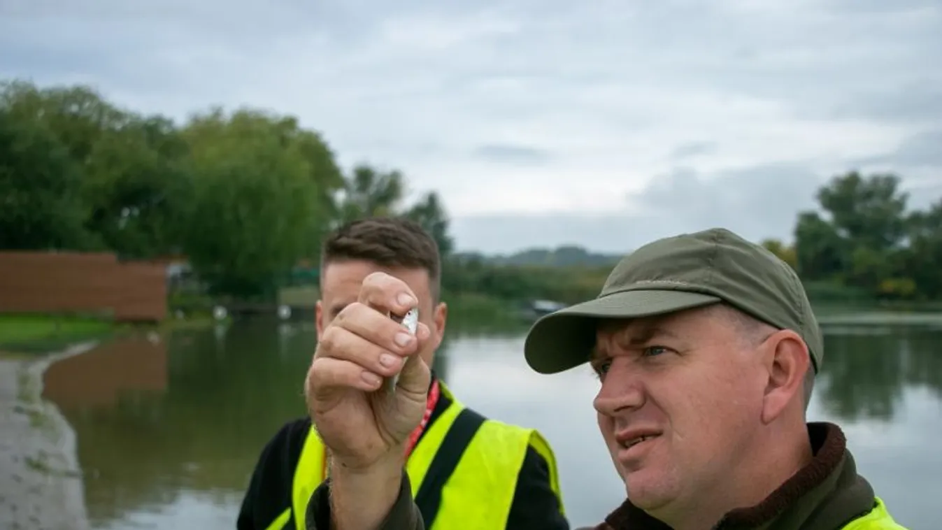 Nagy meglepetés történt a Tisza-tavi ivadékvizsgálaton