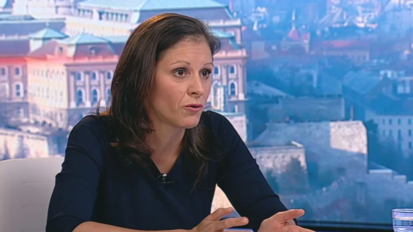 Kifizeti az LMP Werbert, ha úgy látja