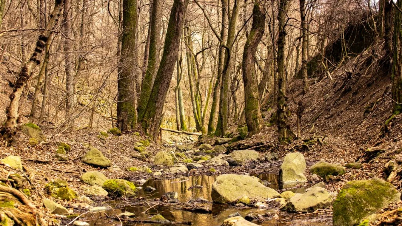 A vihar miatt bajba került túrázókat mentettek a Pilisben