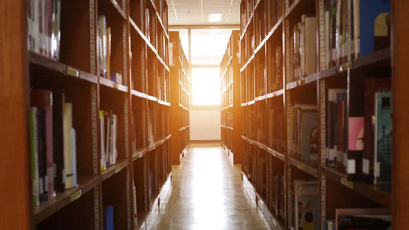 Láng: Ne zárja be teljesen a Fővárosi Szabó Ervin Könyvtárat a főpolgármester!