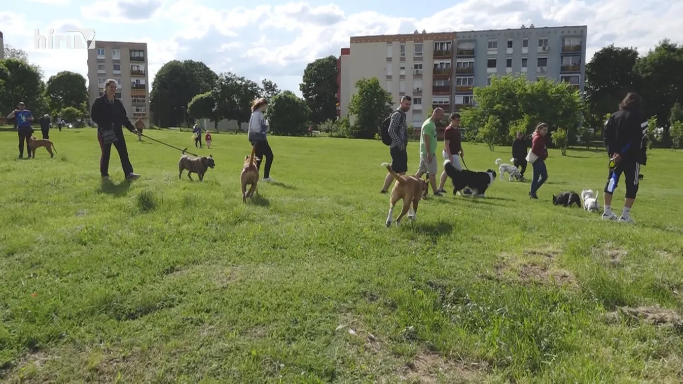 Meghátrált az önkormányzat, marad a kutyafuttató