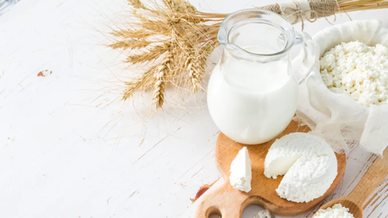 Online térben népszerűsíti a tejfogyasztást a Tej Terméktanács