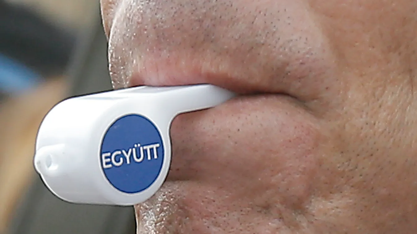 Füttyös Peti és a csicskák