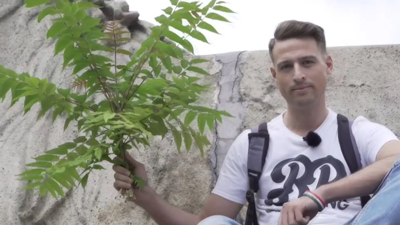 Fidelitas: Vigyázni kell a Lánchídra