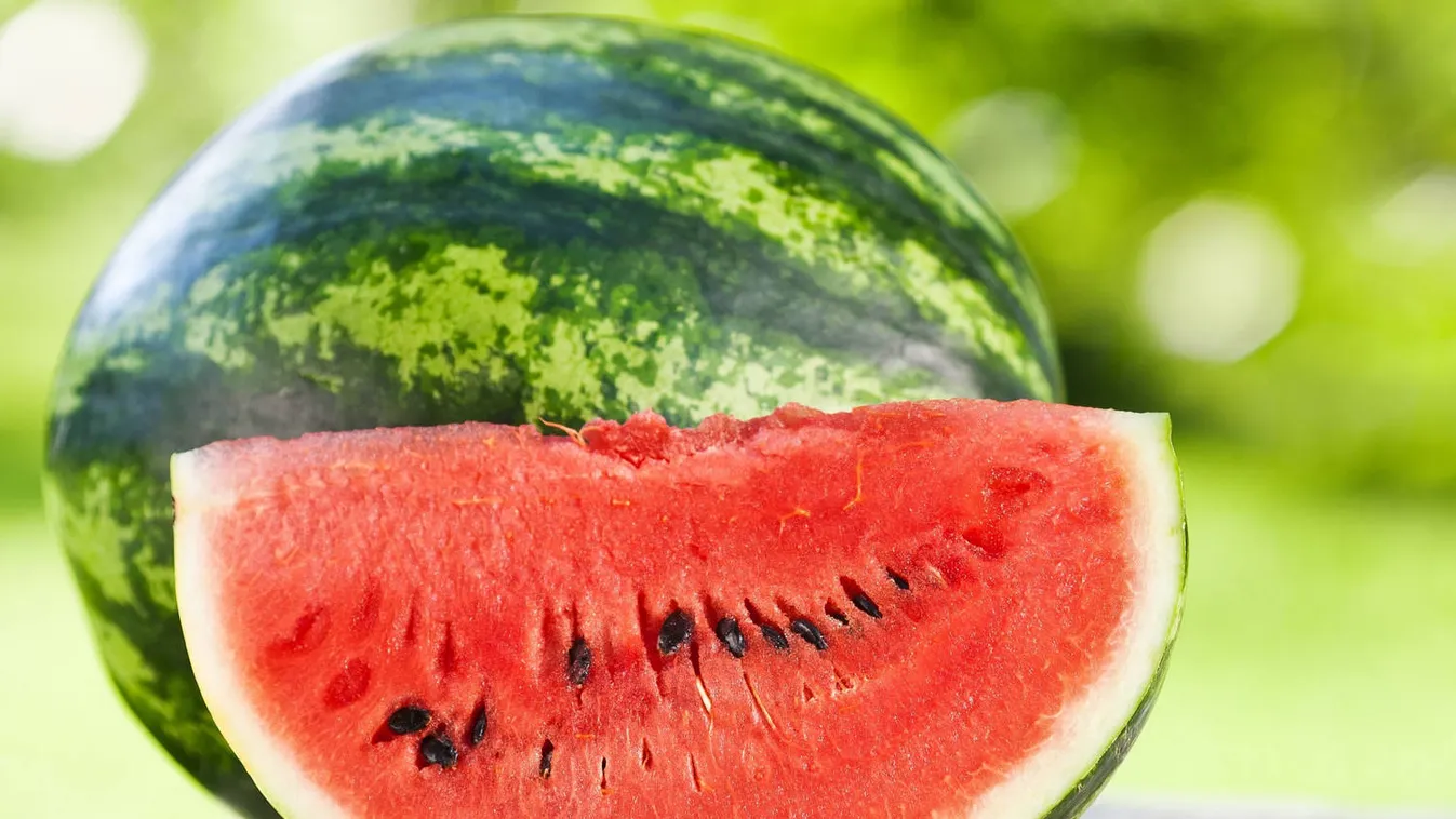 Nagy István: jó minőségű dinnyével indul a magyar dinnyeszezon