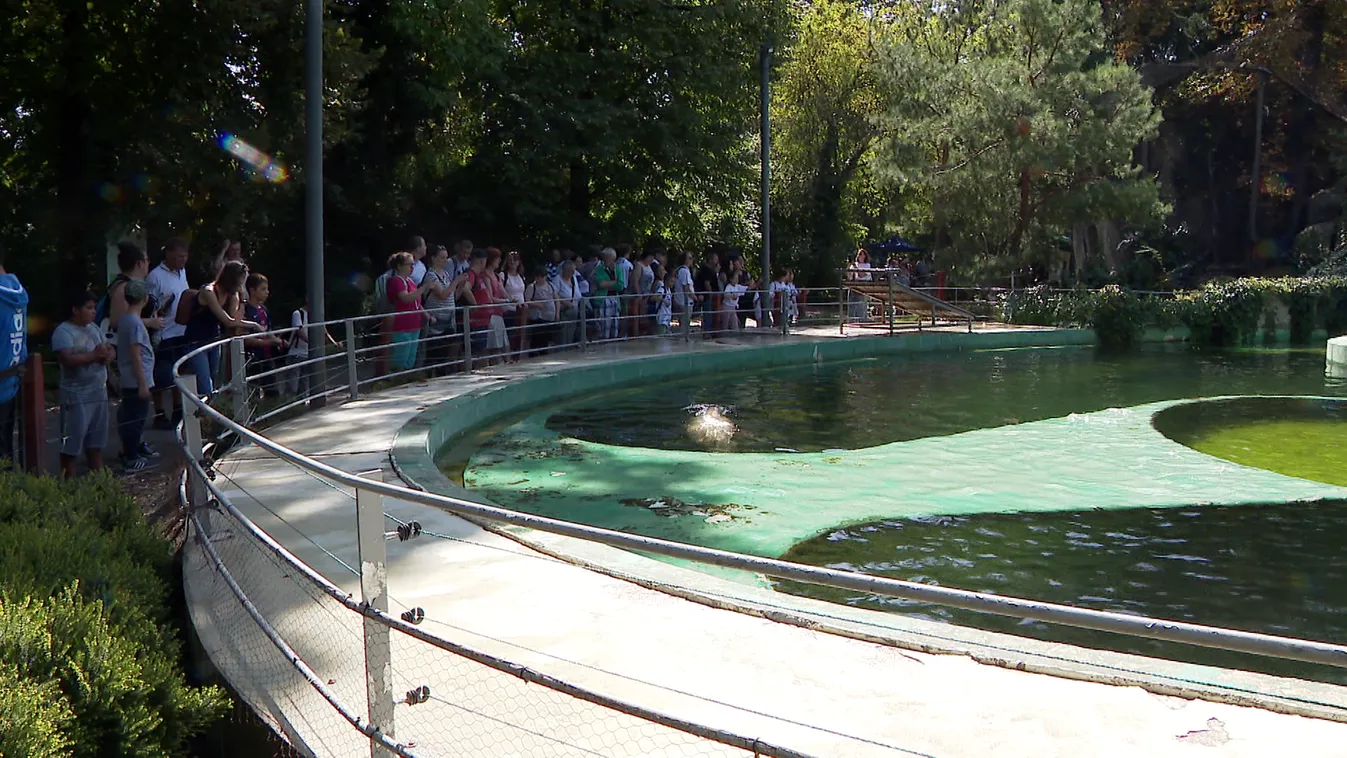 Sérült gyermekek napja