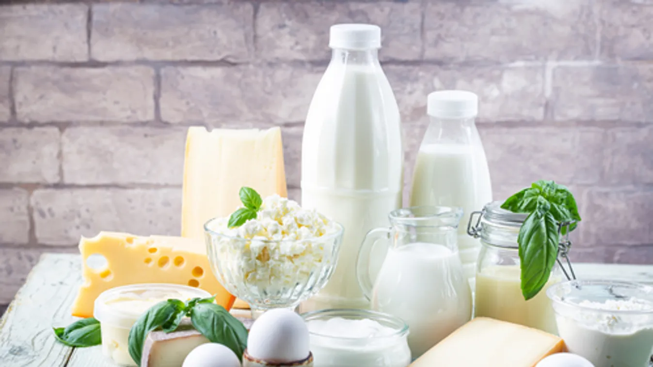 AMC: a tej és a tejtermékek fogyasztását ösztönző kampány indult