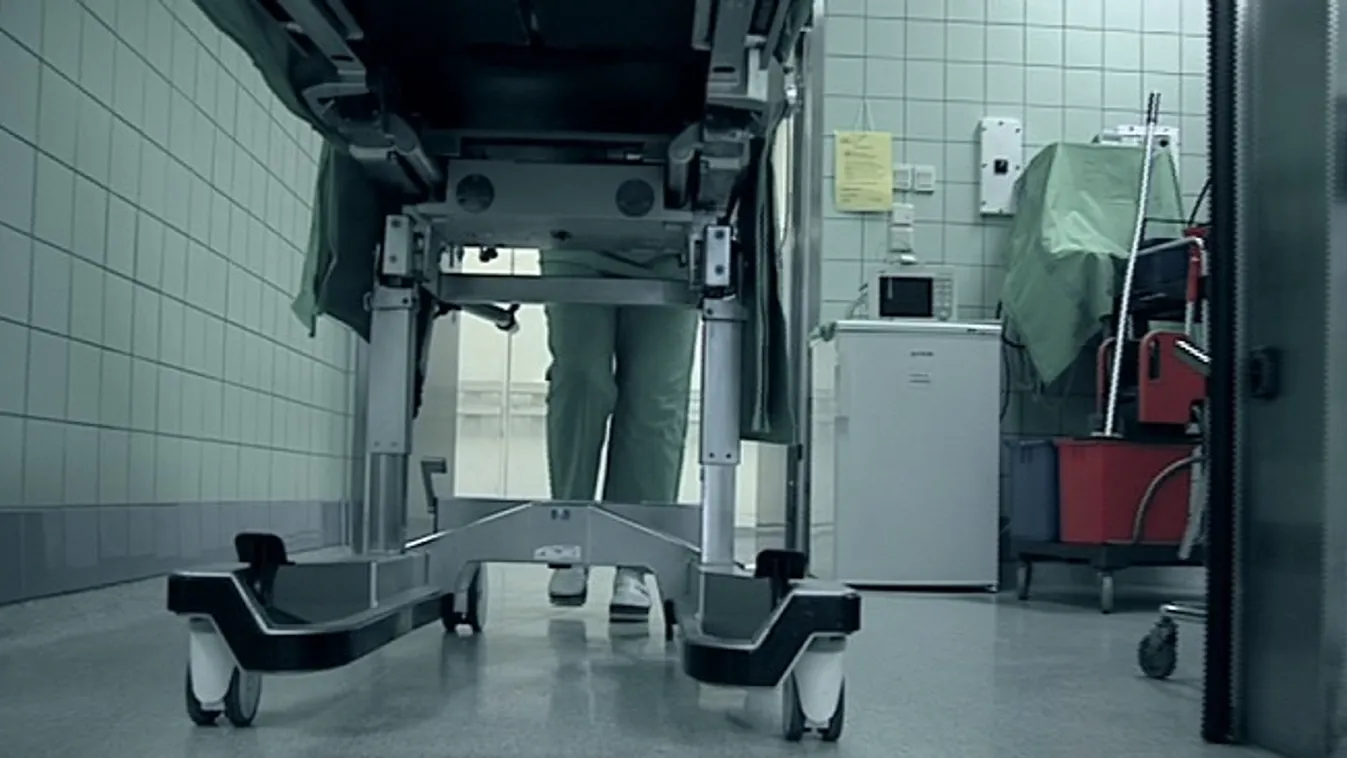 Vesztegetésen múlik az életünk? – Célpont