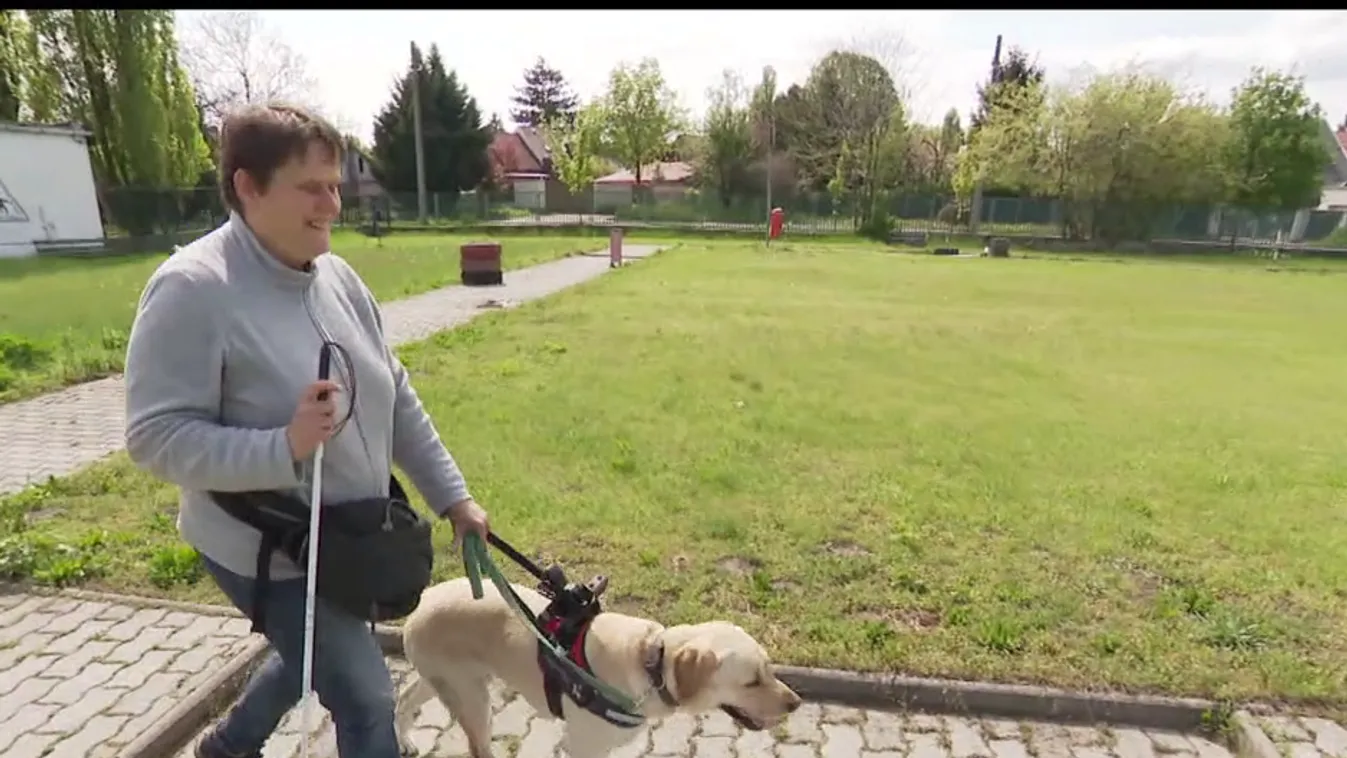 Mozaik - A látássérültek navigátora