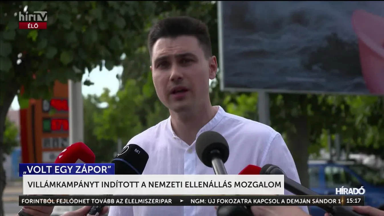 Villámkampányt indított a Nemzeti Ellenállás Mozgalom + videó