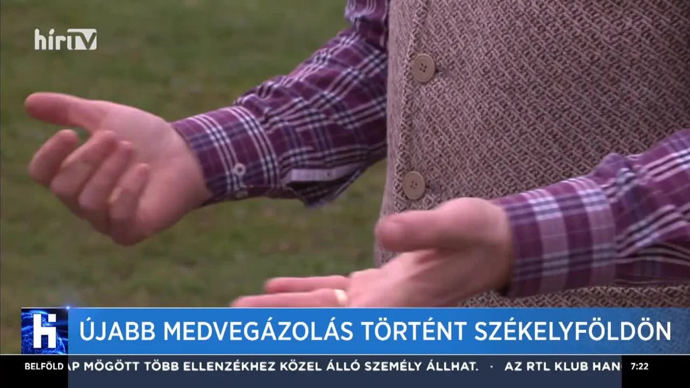 Újabb medvegázolás történt Székelyföldön