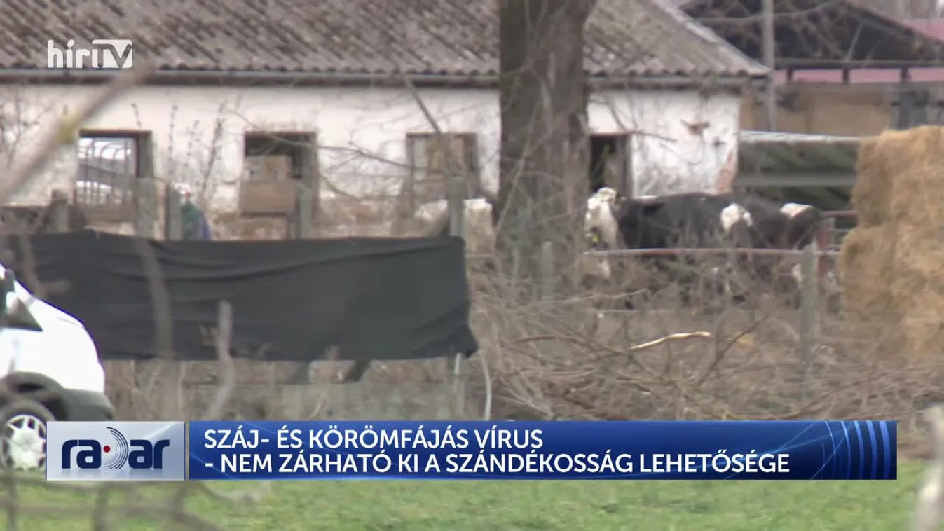 Radar - Nagy István: nem zárható ki, hogy mesterségesen hozták létre a száj és körömfájás vírust + videó