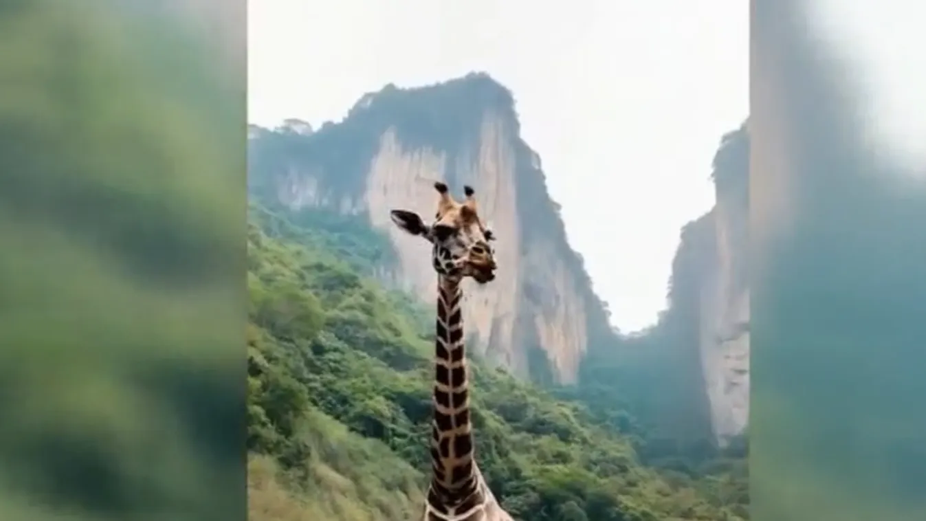 Radar - Megtévesztő képek és felvételek terjednek az interneten + videó