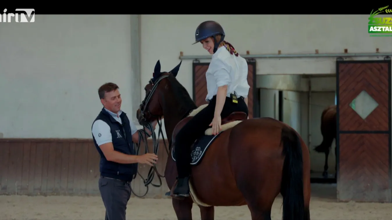 Zsuzsi asztala: Egy lovarda hétköznapjai