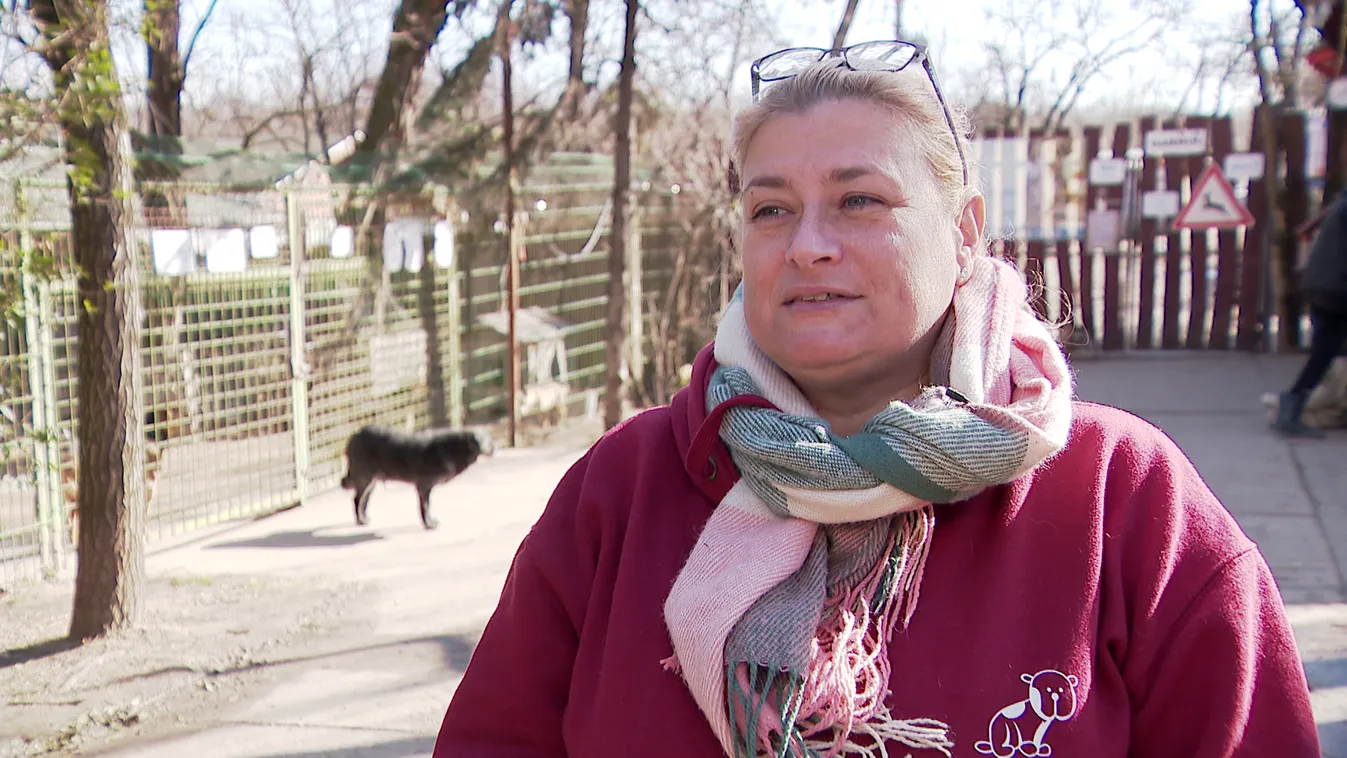 Radar - Állatmentés háborúban