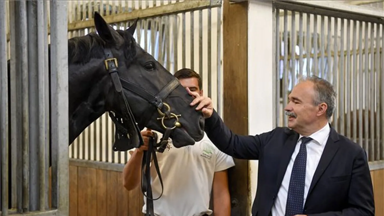 Elindult az erdélyi lótenyésztést segítő program