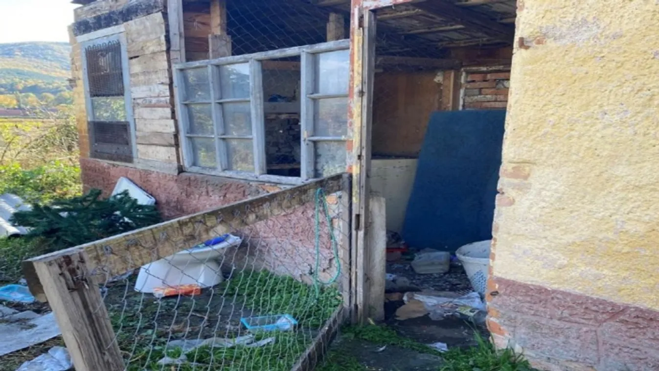 Lakat alatt a tolvaj