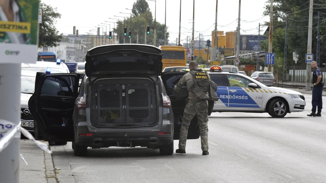 Hatan támadtak meg egy nőt a IX. kerületben, egy lövés is eldördült