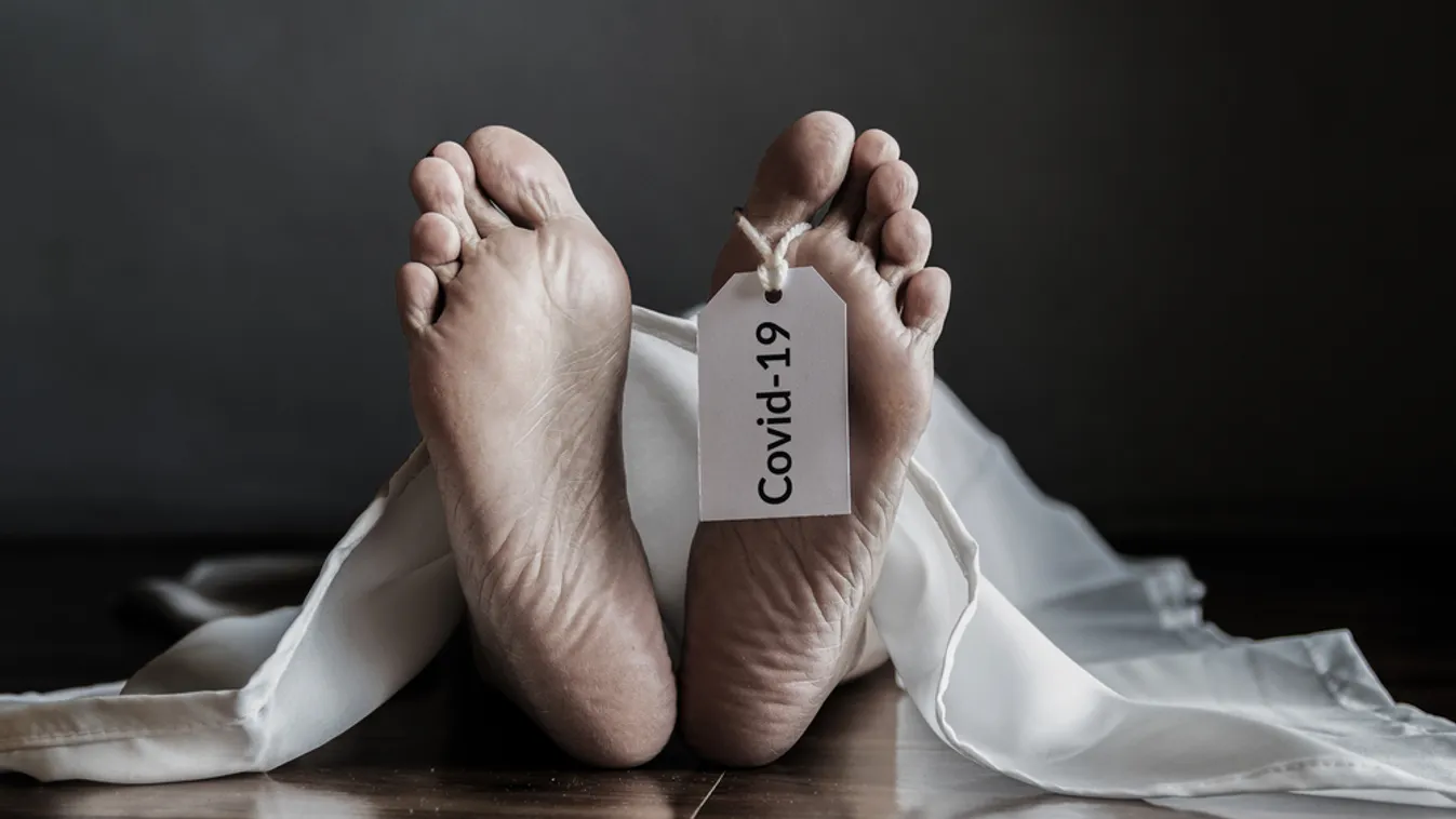 New York államban továbbra is emelkedik a járvány halálos áldozatainak száma