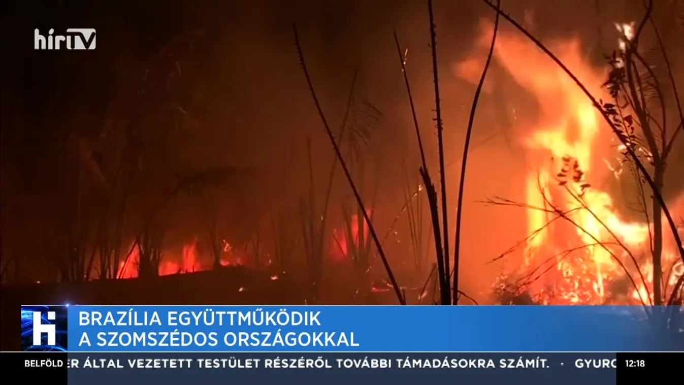A dél-amerikai országok közös célja, hogy megállítsák az amazonasi erdőtüzet