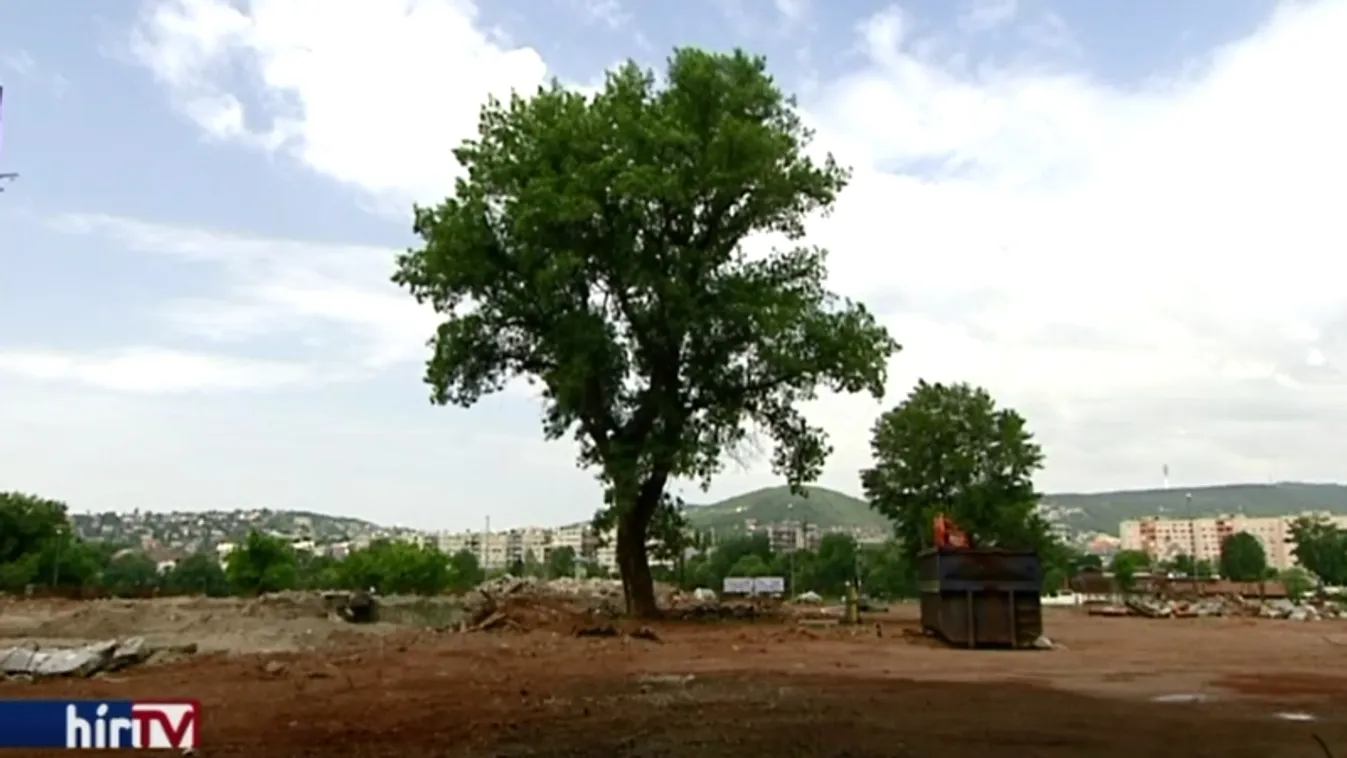 Tucatnyi fa látta kárát az új teniszstadion építésének