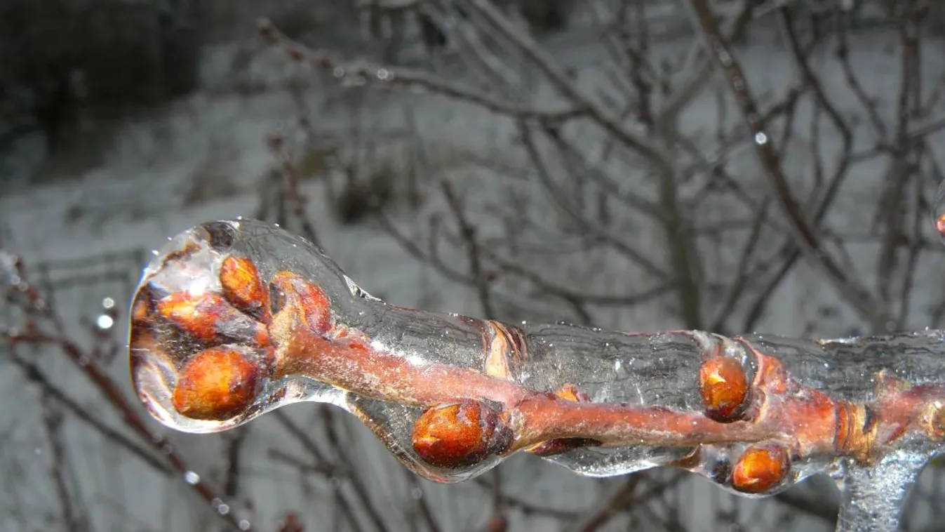 Újabb fagyok jönnek hétvégén: kemény mínuszokra kell készülni éjszaka