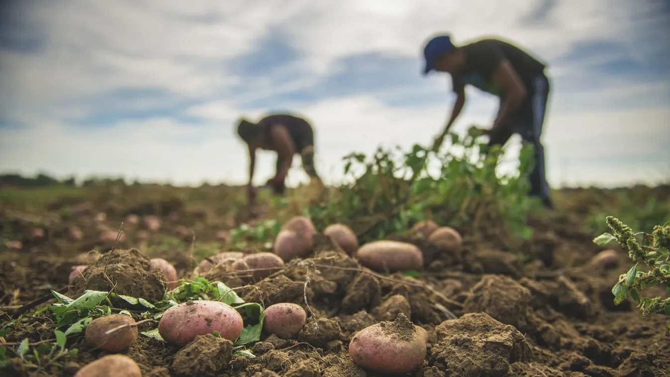 Nemzetgazdasági Minisztérium: Magyarország sem vendégmunkásország, sem pedig migránsország nem lesz