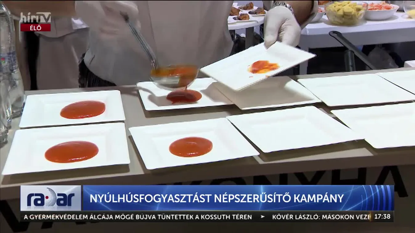 Radar - NYÚLHÚSFOGYASZTÁST NÉPSZERŰSÍTŐ KAMPÁNY