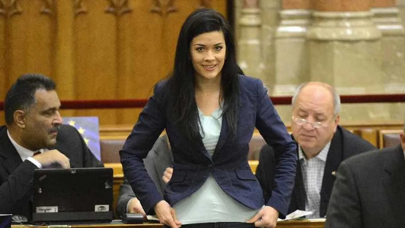 Lyukra futott az LMP politikusa