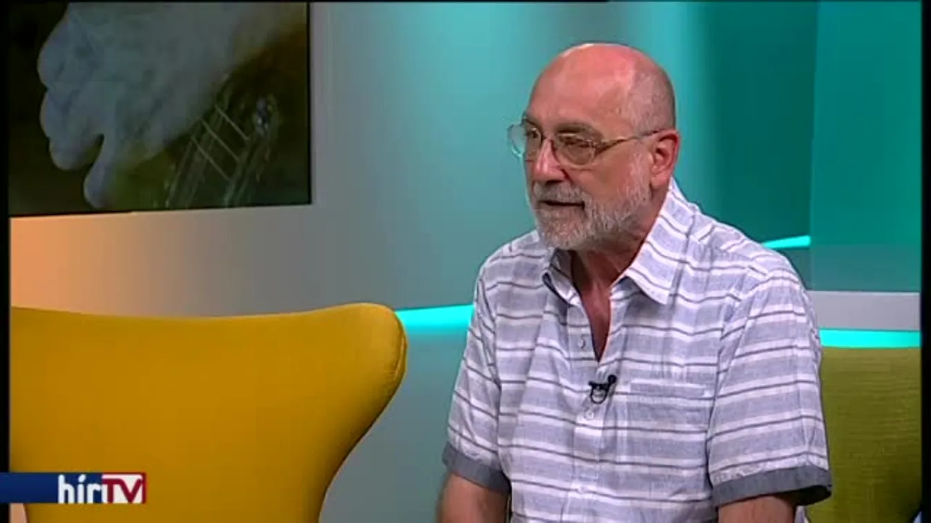 38. Kaláka Fesztivál