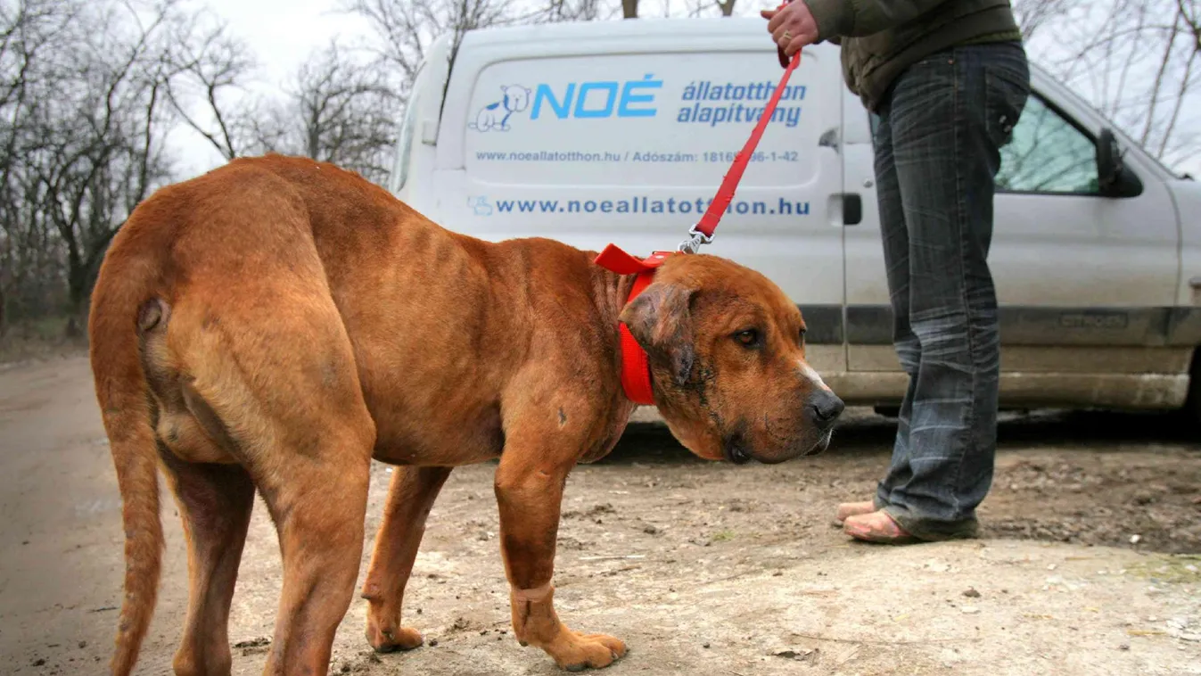 Ne vigyék őket tömegbe, a légnyomástól elszabadulhatnak