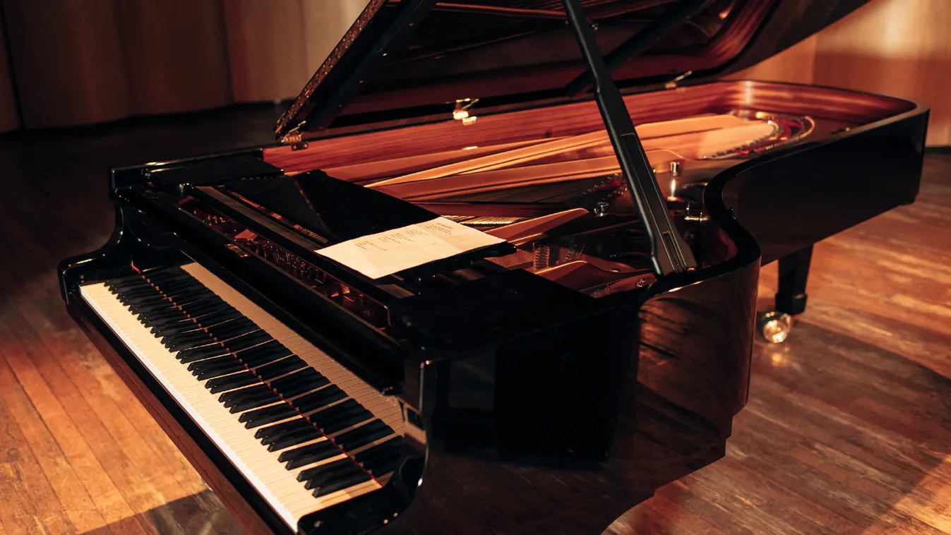 Meghirdették a kismartoni Esterházy-kastély zenei programjait