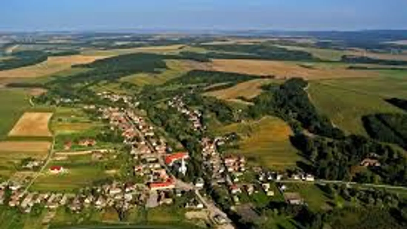 Mind az 1900 malac elpusztult