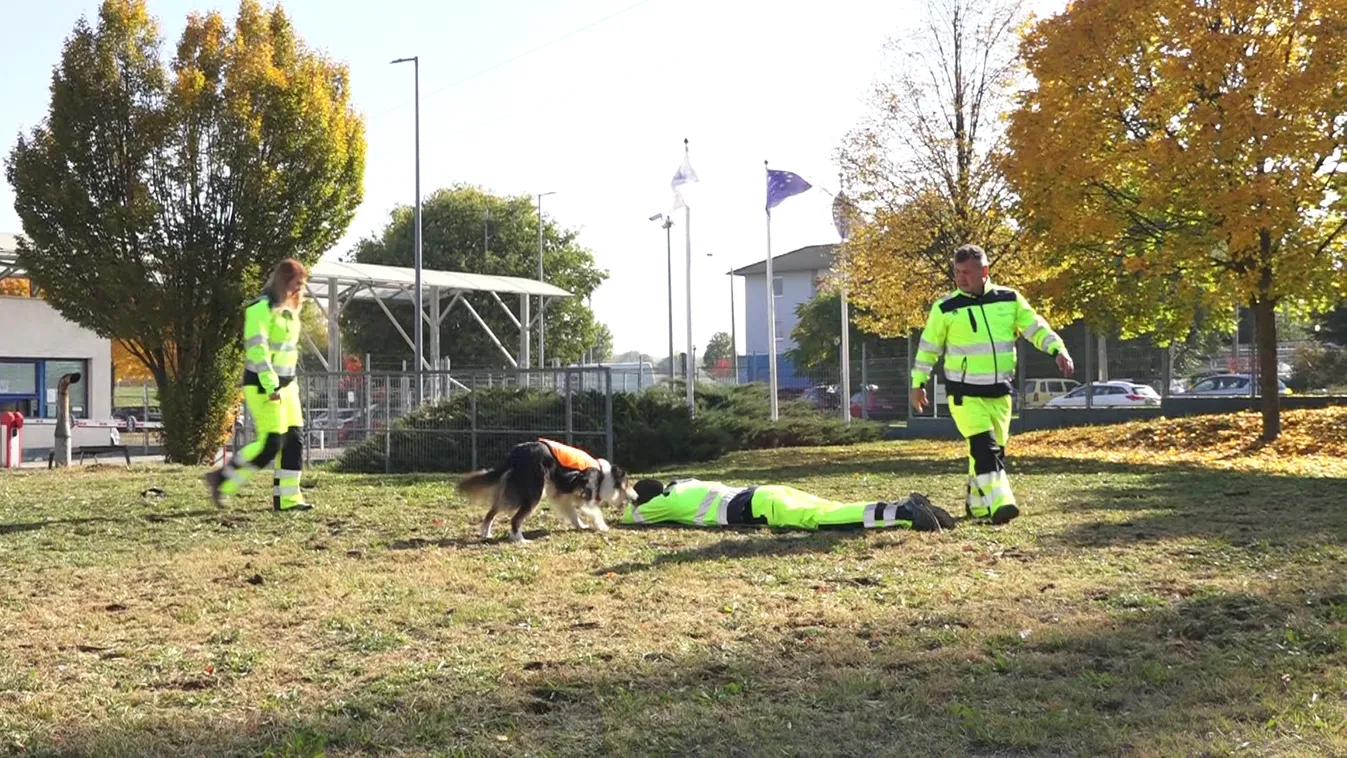 Pécsett erősödik a társadalmi szerepvállalás