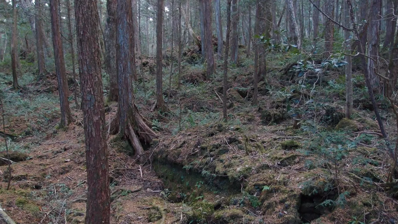 Újabb ember tűnt el Portugáliában egy nyaralás során