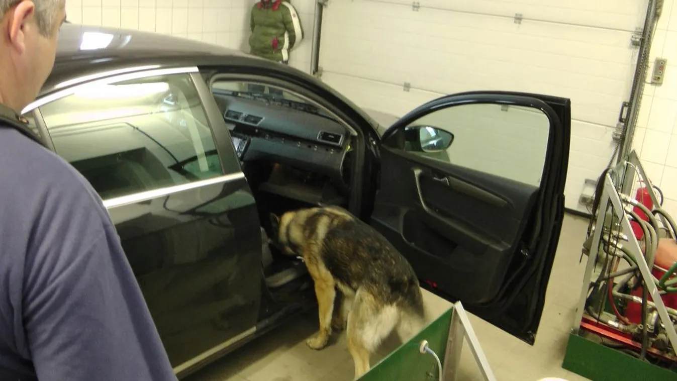 Heroint szagolt ki a kutya