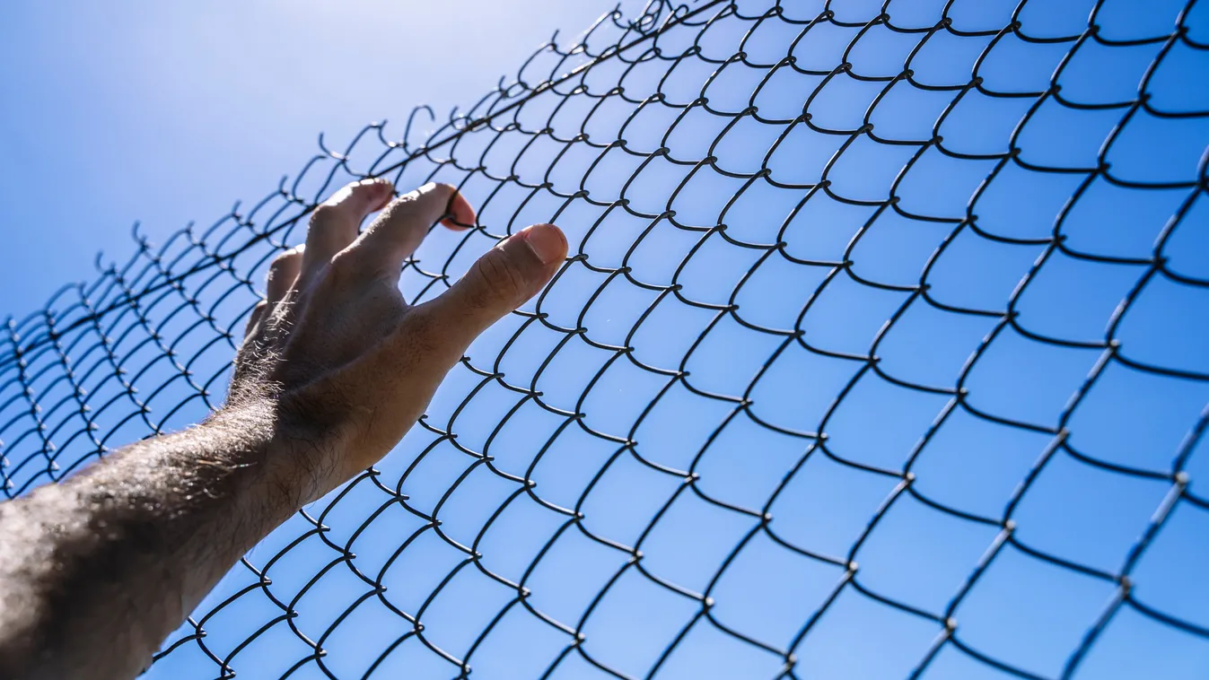 Illegális bevándorlás - Bakondi György: tízszeresére nőtt a migrációs nyomás a szerb határon