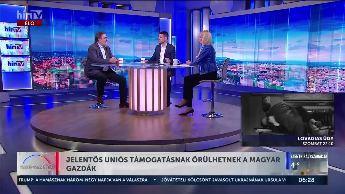 Országos akciót indítanak a balatoni szőlőt érinő betegség megfékezésére