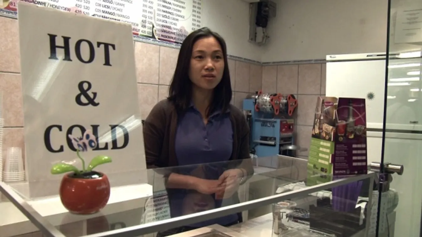 Hegyek és tengerek között – Vetítő