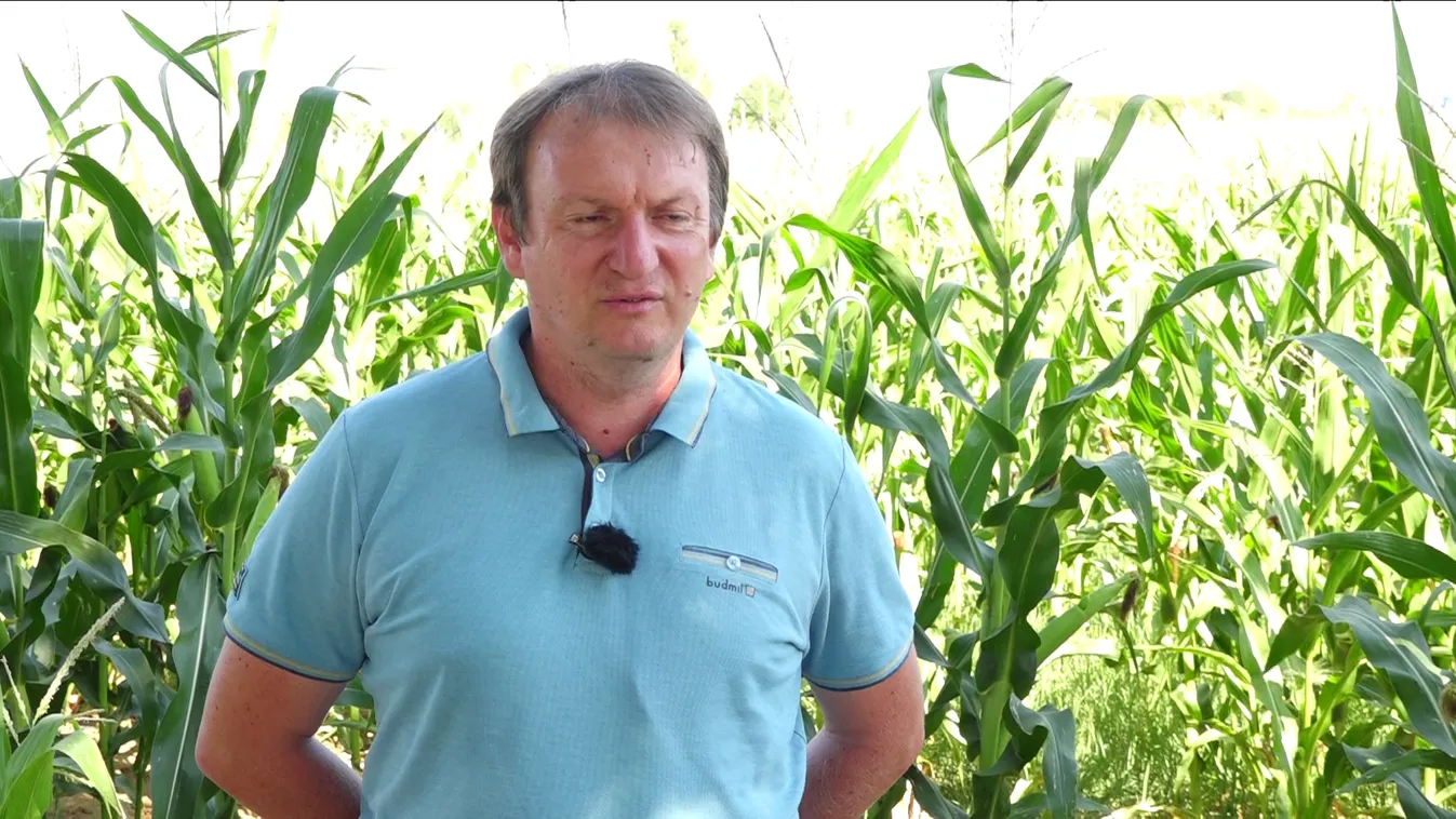 Radar: Történelmi léptékű aszály sújtja Magyarországot