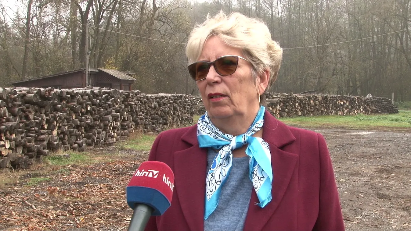 Töretlen népszerűségnek örvend a szociális tűzifa program