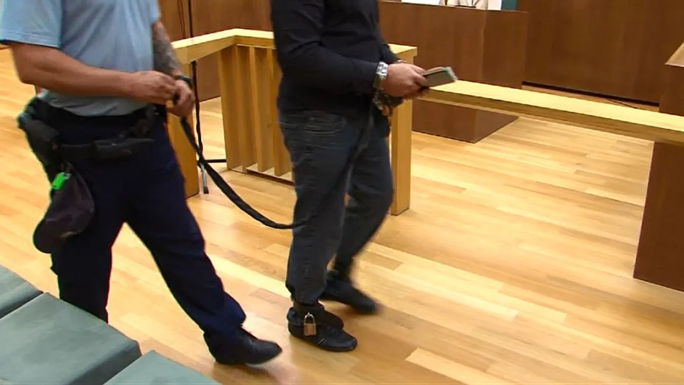 Életfogytiglant kapott az idős nő gyilkosa