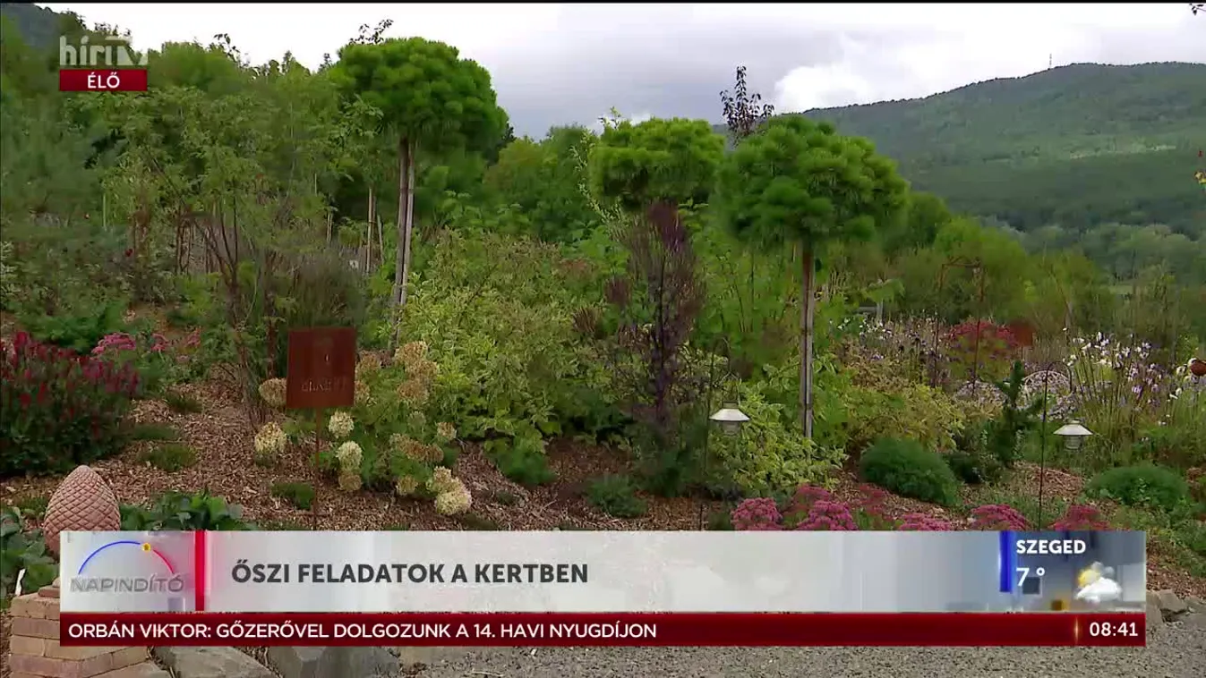 Őszi feladatok a kertben